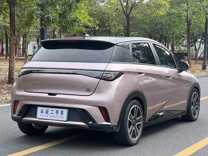 
								BYD Dolphin Fashion Edition 2021 full									