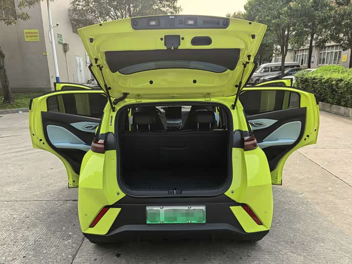 
								BYD Seagull 2023 Flying Edition 2023 full									