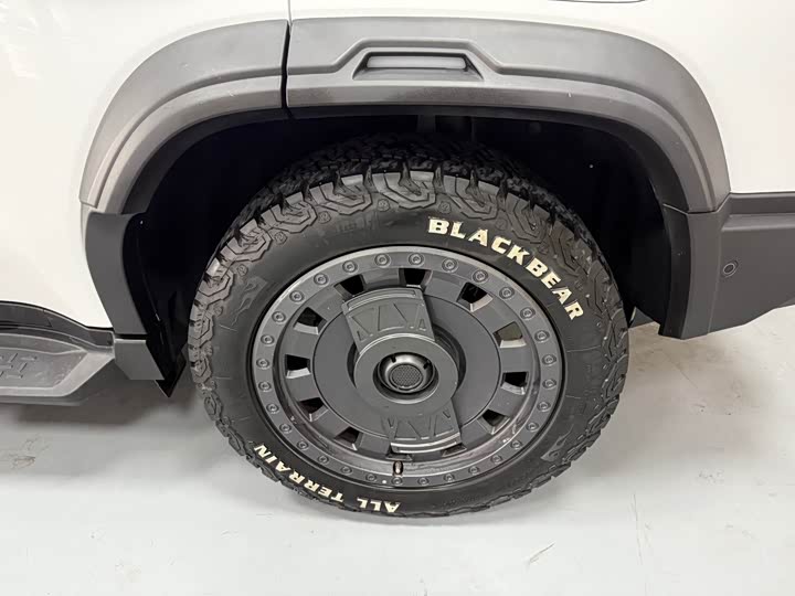 
								Jetour Jet Traveler 2024 2.0T four-wheel drive Silver Dragon Wings 2024 full									