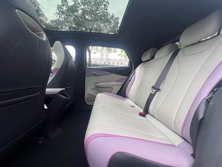 
								BYD Dolphin Fashion Edition 2021 full									