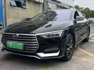BYD E9 2021 Business Edition 2021
