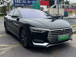 BYD E9 2021 Business Edition 2021
