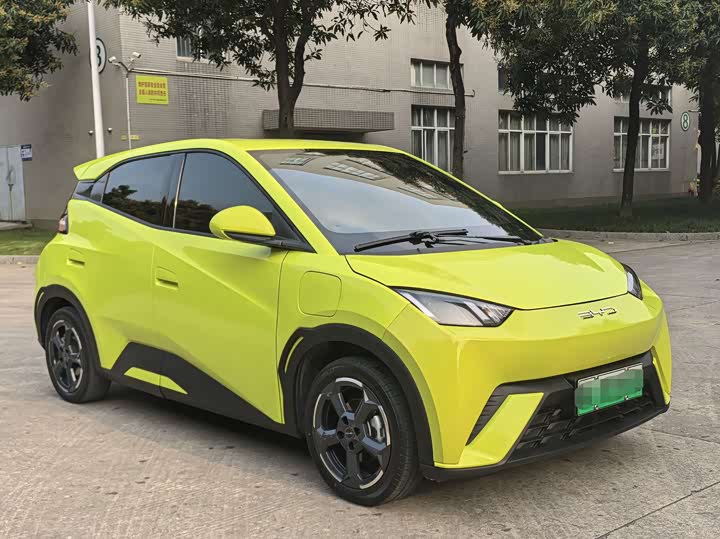 
								BYD Seagull 2023 Flying Edition 2023 full									