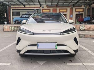 BYD Hiace 05 EV 2025 520KM Flagship Intelligent Navigation Edition 2025