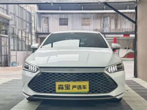 BYD Qin PLUS 2024 Glory Edition DM-i 55KM Leading Model 2024