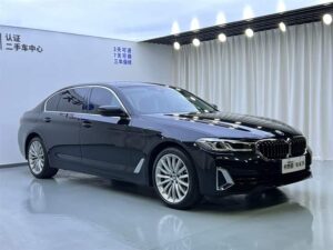 BMW 5 Series 530Li Luxury Package 2021