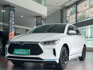 BYD e2 2020 Luxury Edition 2020