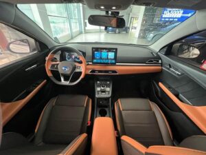 BYD e2 2020 Luxury Edition 2020