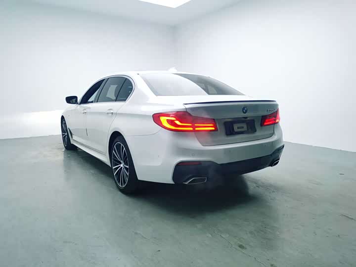 
								BMW 5 Series 530Li Leading M Sport Package 2020 full									