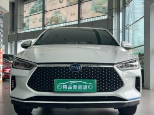 BYD e2 2020 Luxury Edition 2020