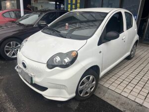 BYD E1 2019 Yue Edition 2019