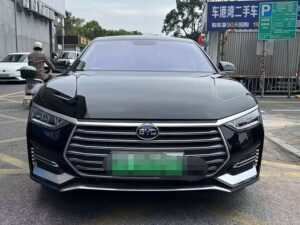 BYD E9 2021 Business Edition 2021