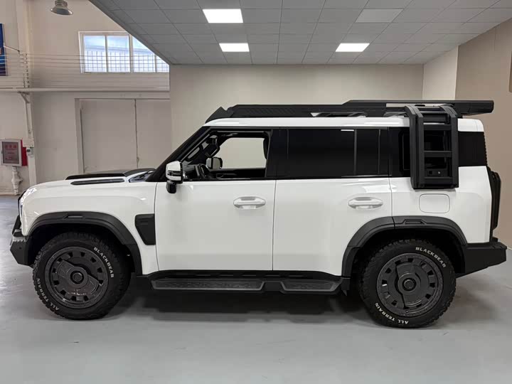 
								Jetour Jet Traveler 2024 2.0T four-wheel drive Silver Dragon Wings 2024 full									