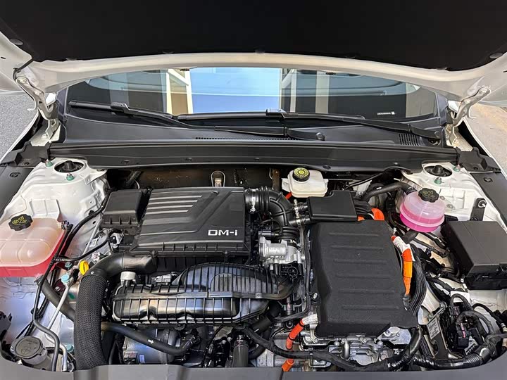 
								BYD Destroyer 05 2024 Glory Edition DM-i 55KM Luxury Model 2024 full									