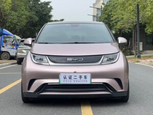 BYD Dolphin Fashion Edition 2021