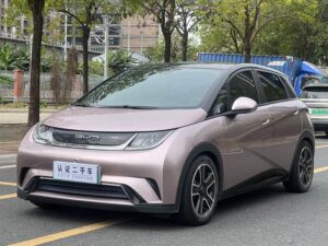 BYD Dolphin Fashion Edition 2021