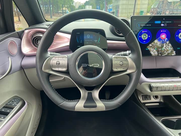 
								BYD Dolphin Fashion Edition 2021 full									