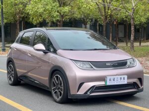 BYD Dolphin Fashion Edition 2021