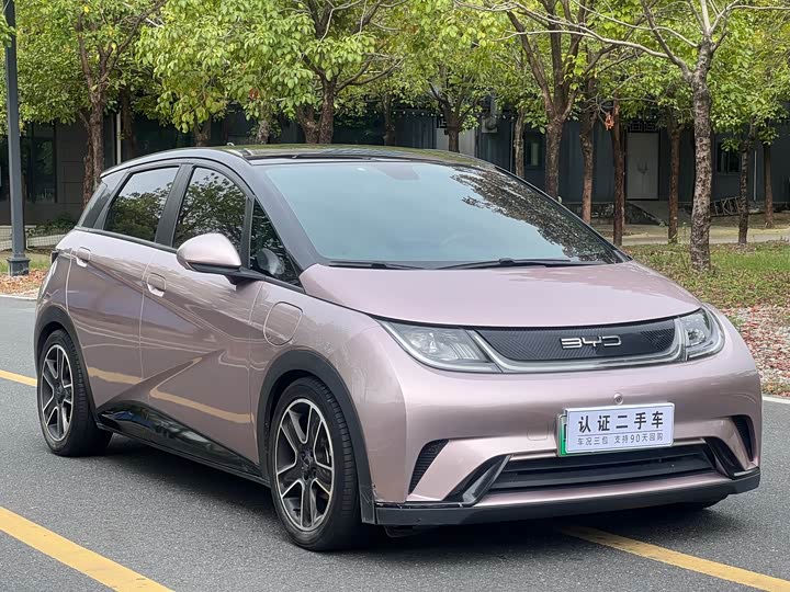 
								BYD Dolphin Fashion Edition 2021 full									