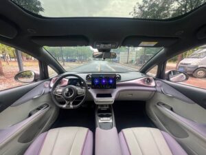 BYD Dolphin Fashion Edition 2021