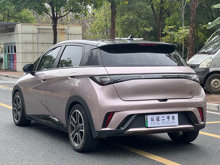 
								BYD Dolphin Fashion Edition 2021 full									