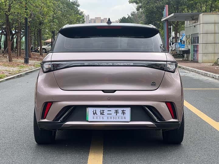 
								BYD Dolphin Fashion Edition 2021 full									